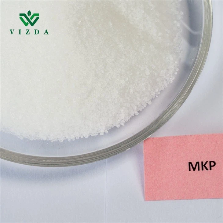 Advanced MKP Elevate Your Crop Productivity