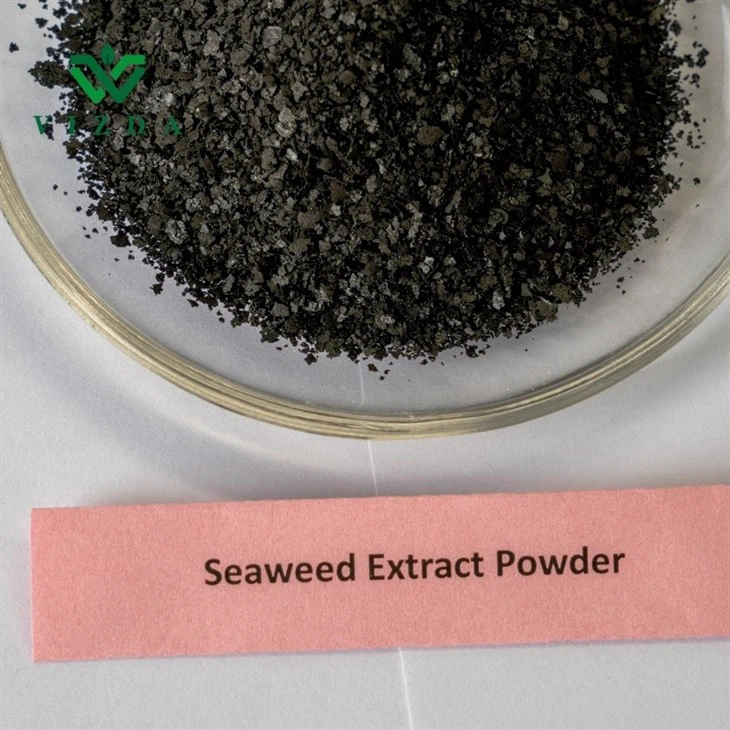High Nutrient Fertilizer Seaweed Extract