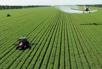 المكسيك تطور الإنتاج الزراعي بقوة