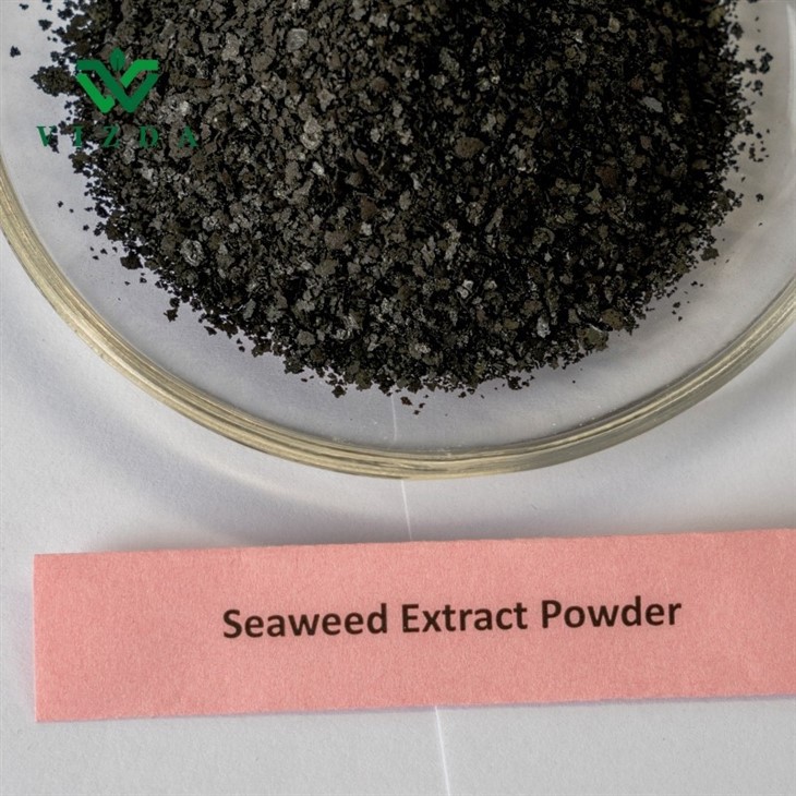 Nutrient-rich Seaweed Extract