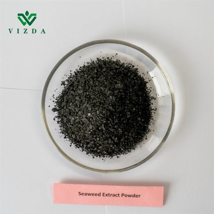 Soluble Black Seaweed Extract