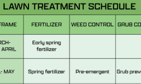 هل يمكنني تخصيب مروجي في يوليو؟ أفضل الممارسات والنصائح