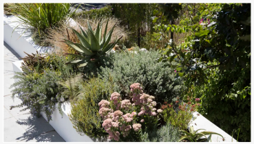 كيفية تحويل الجحيم غير المضياف إلى امتداد جذاب لساحة الخاص بك - نصيحة الخبراء...