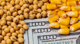 فازت الولايات المتحدة بنزاع تجاري ضد المكسيك على واردات الذرة المعدلة وراثيا