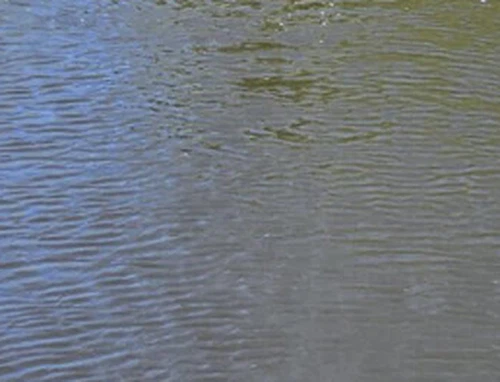 تعمل الطائرة بدون طيار-المثبتة على المختبر على مراقبة جريان الأسمدة في الوقت ...