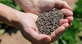 AgroPlantae تستحوذ على محفظة Kemin Crop Technologies