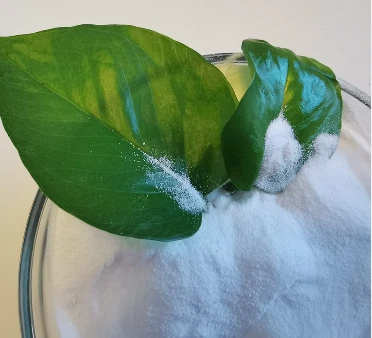 KNO3 صناعة أسمدة نترات البوتاسيوم